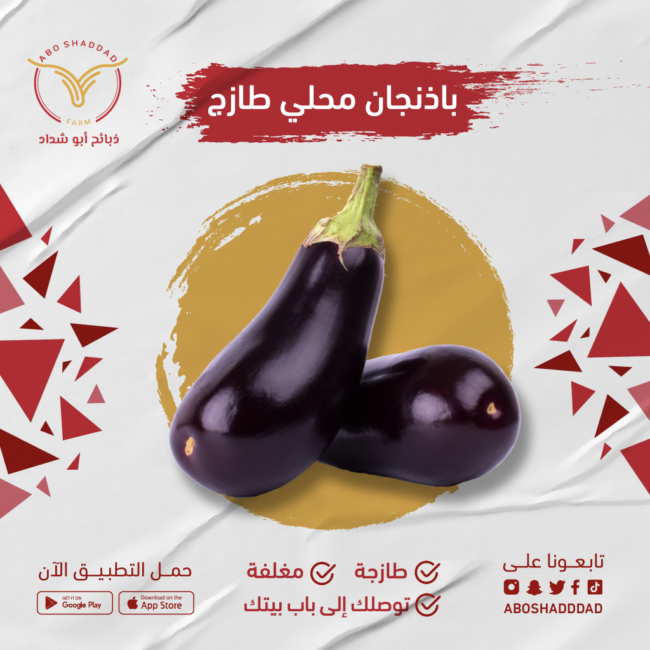 باذنجان (بالكيلو)