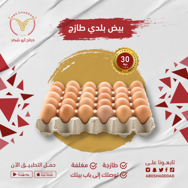 بيض بلدي