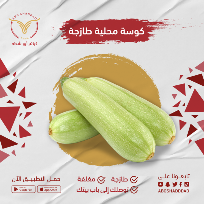 كوسه (بالكيلو)