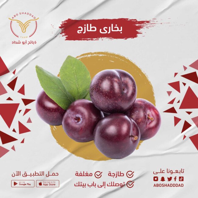 بخارى  (الكيلو )