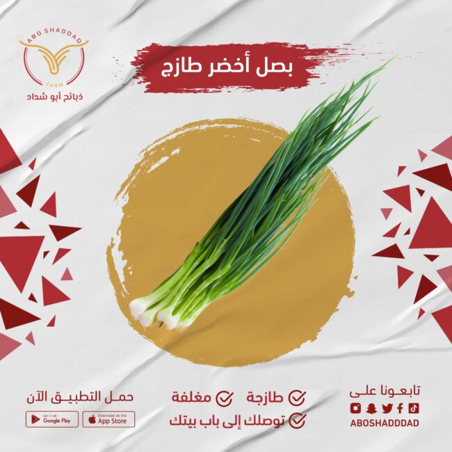 بصل اخضر