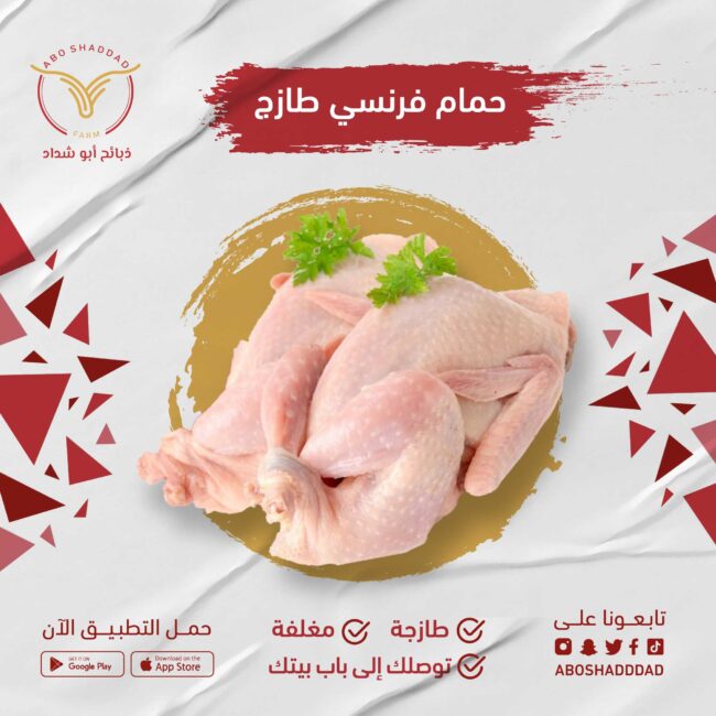 حمام فرنسي مذبوح الغربية