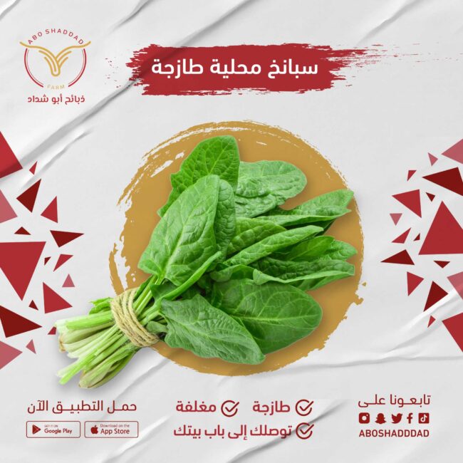 سبانخ