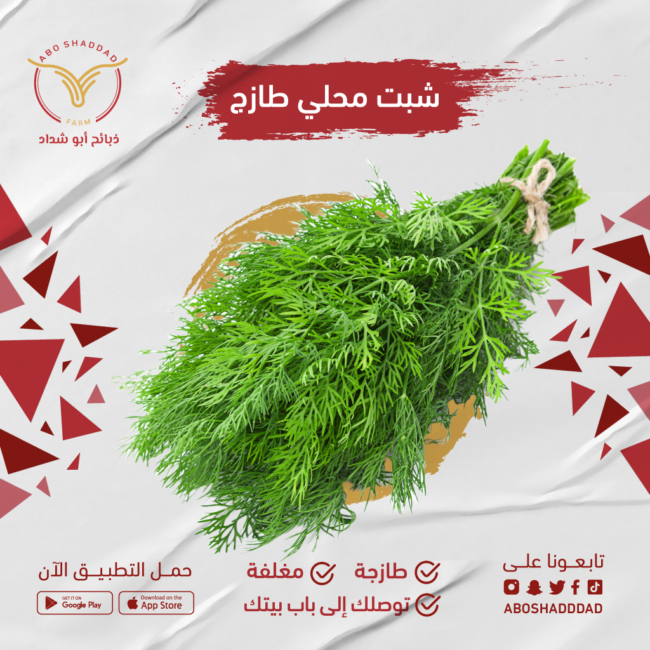 شبت