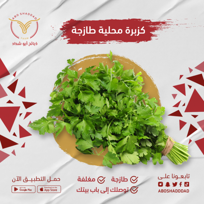 كزبرة