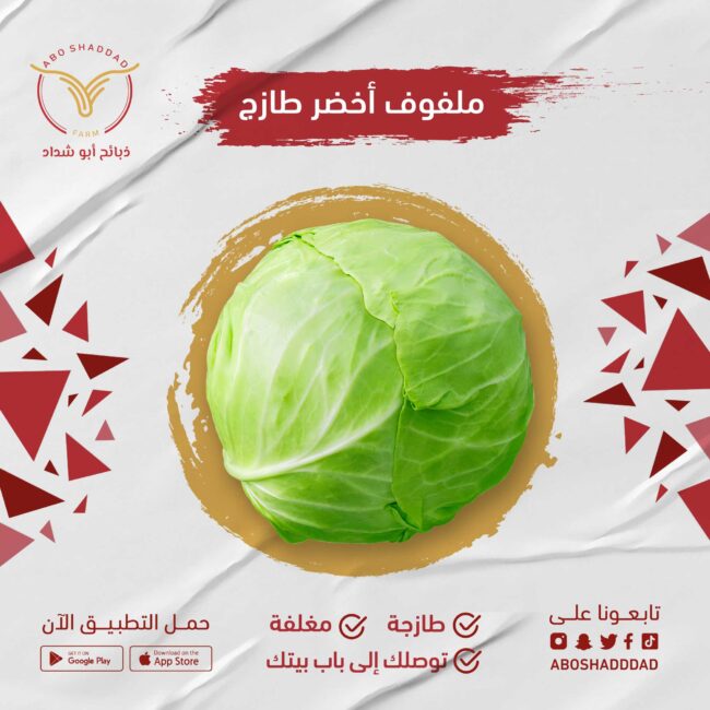 ملفوف اخضر