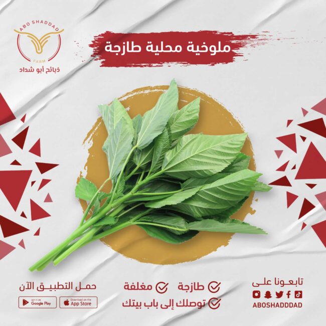 ملوخية
