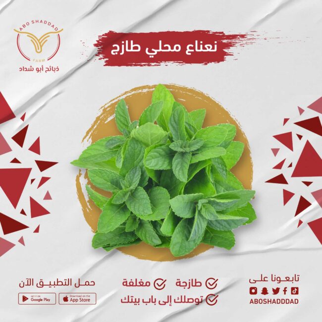 نعناع