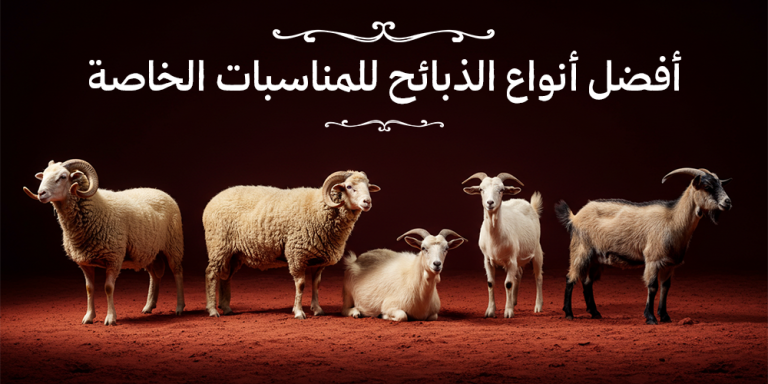 افضل انواع الذبائح