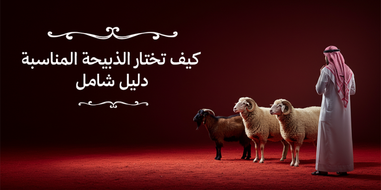 كيف تختار الذبيحة المناسبة